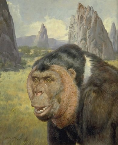 Самые большие человекообразные обезьяны - гигантопитеки - Антропогенез.РУ