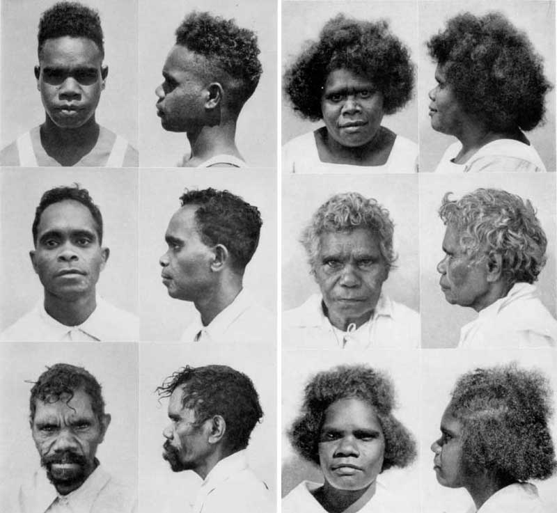 Люди австралоидной расы. Веддо-австралоидная раса. Человеческие расы австралоидная. Австралоидная раса раса. Австралийская негроидная раса.